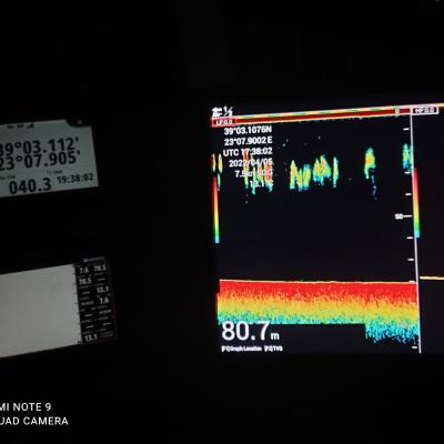 Img 20220405 203804